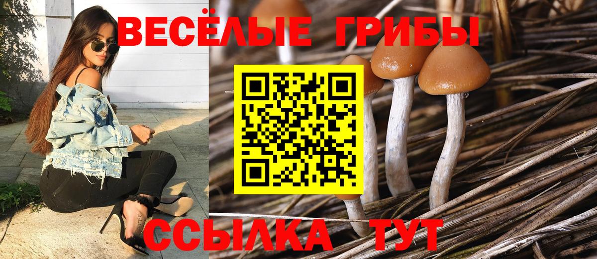 Псилоцибиновые грибы ЛСД  Вход с VPN  Уссурийск 